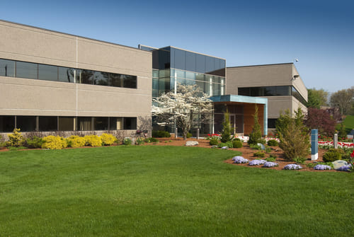Commercial Lawn Care: What Greenwood Businesses Should Expect From a Pro