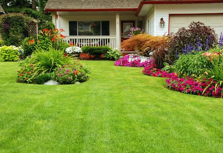Signs Your Yard Needs Aeration