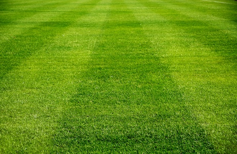 When Should You Start Mowing Your Lawn in Indiana?