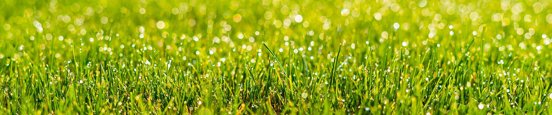 CGS Lawns Banner Background
