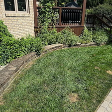 Landscape Bed Cleanup Greenwood, IN 2