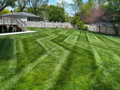 Before & After: Lawn Cleanups That Transform Greenwood Yards in a Weekend