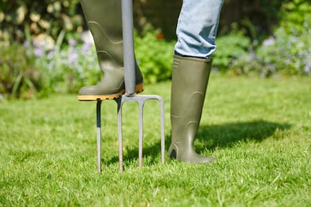 Aeration & Overseeding