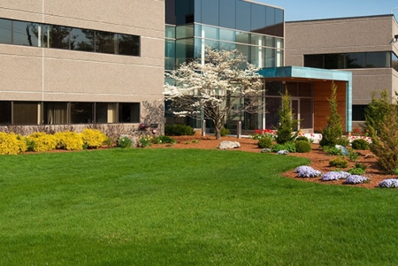 Commercial Lawn Care & Landscaping
