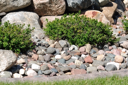 Landscape Rock