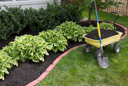 Landscaping