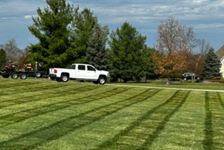 Lawn Mowing